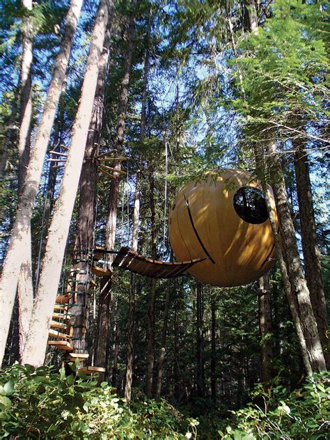Photo 10 Of 25 In Photo Essay Enchanting Tree Houses From The High