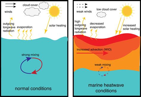 Marine Heat Waves Causes Impacts Trends Way Forward For Upsc