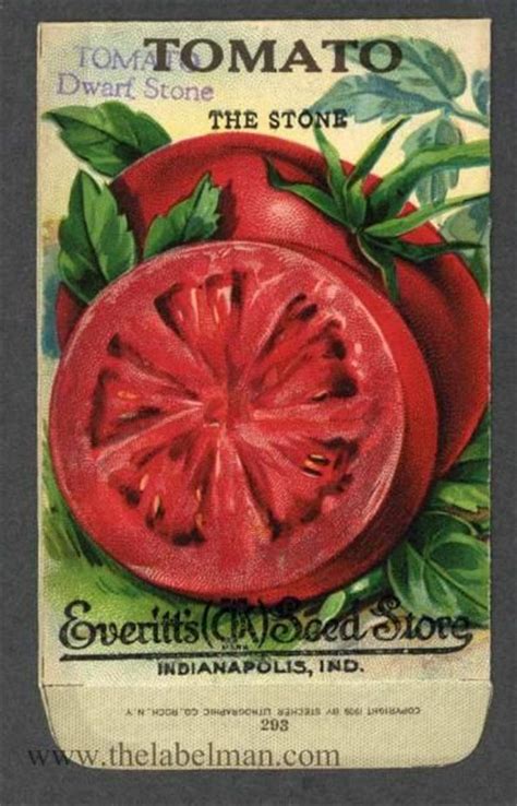 Everitts Seed Store Tomato 293 Vintage Seed Packet Vintage Seed