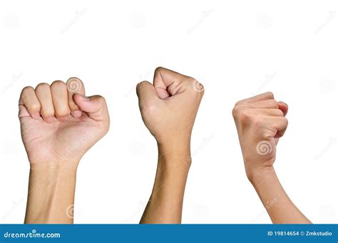 Variety Of Fist Hands Stock Images Image 19814654