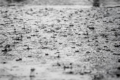 Rain Drops Falling In A Puddle Of Gray Stock Image Image Of Water