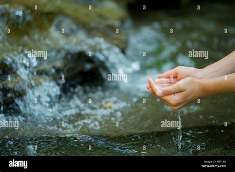 Hands Scooping Water From Stream Stock Photo Alamy