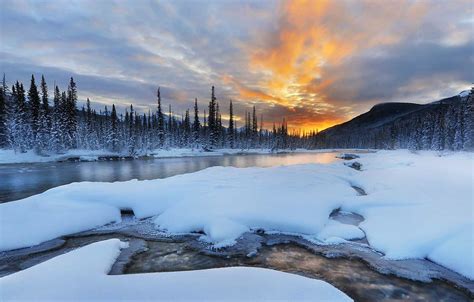 Wallpaper Winter Snow Trees Mountains River Canada Albert Banff