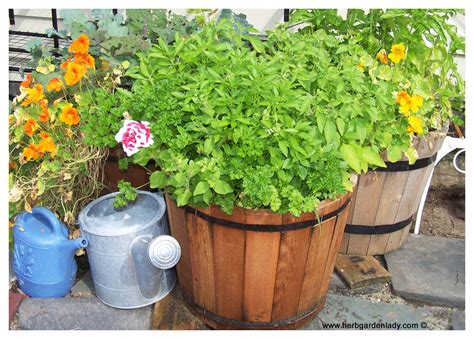 Herb Planter Where To Start With Pots Boxes Wagon Wheel
