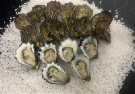 Sydney Rock Oysters Gourmet Meat Company