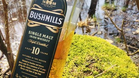 Bushmills 10 Single Malt Irish Whiskey Recenzja Whisky Reset