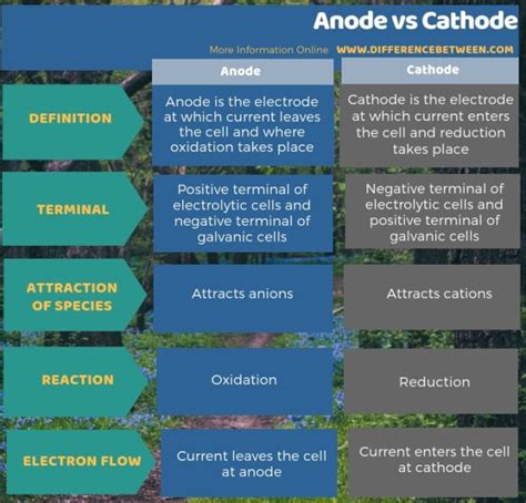 Difference Between Anode And Cathode Compare The Difference Between