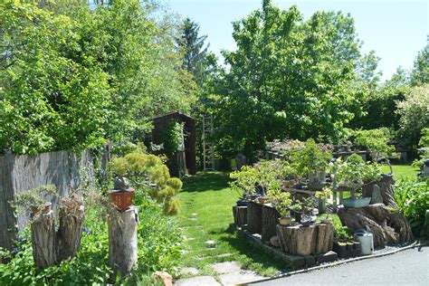 9 im stadtteil bergerhof zu finden. 340 Bonsai-Bäume im Garten von Familie Petrakovits in ...