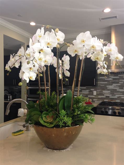 Pin By Janet Choe On Orchid Plant Design Orchid Flower Arrangements Orchids Orchid Arrangements