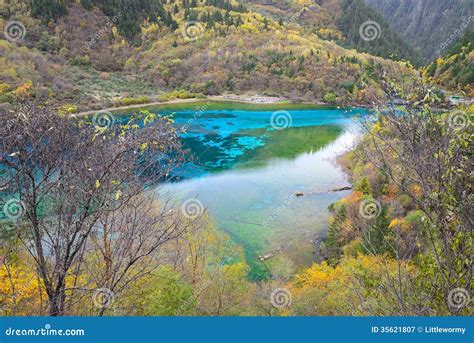 Five Colored Lake Jiuzhaigou China Stock Image Image Of Flower