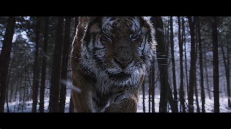 The Tiger An Old Hunters Tale Blu Ray Min Sik Choi