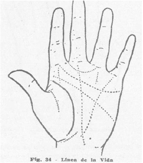 Lista 98 Foto La Linea De La Vida Psicologia Lleno