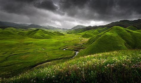 Dzukou Valley In The Northeast Is A Fine Example Of Raw Untouched