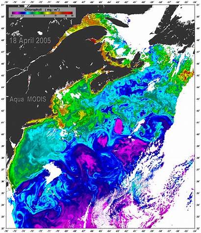 Ocean Nasa Sea Archive Current Gulf Stream