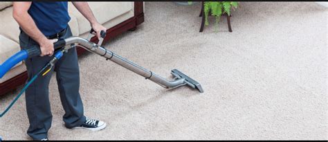 Carpet Cleaning Byron Bay Carpet Cleaning And Flea Treatment Gold Coast
