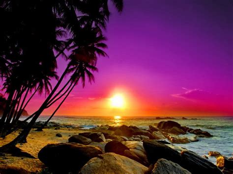 Tropical Island Sunset Wallpaper Wallpapersafari
