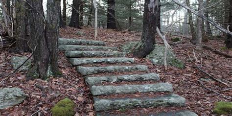 Stairs In The Woods Phenomenon Explained With Details And List