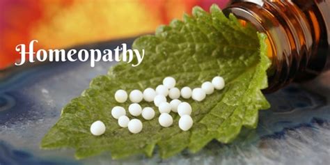 Best Cancer Treatment Centre In India Homeopathic Cancer Treatment