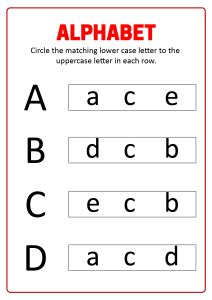 The a, b, and c classes. Match Uppercase and Lowercase Letters A B C D- Alphabet Matching ...