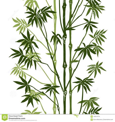 Green Bamboo Seamless Pattern Stock Vector Illustration Of Floral Isolated 100314775