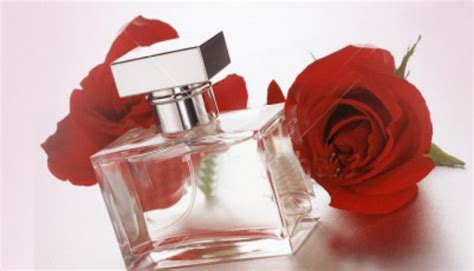 El Mejor Perfume Para San Valentín Fragancias Y Notas Para El Amor