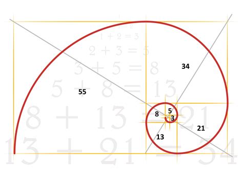 Fibonacci Sequence In 2021 Fibonacci Fibonacci Spiral