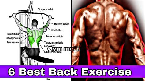 6 Best Back Exercise Best Bigger Back Workout Gym Motivation Youtube
