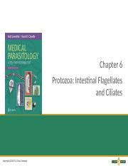 Intestinal Flagellates And Ciliates Characteristics Diagnosis