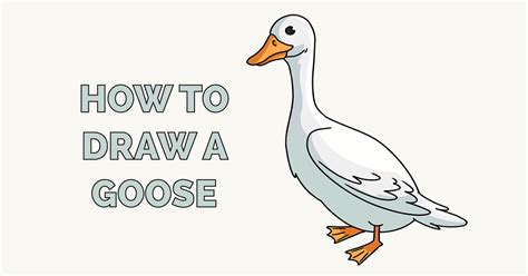 How To Draw A Goose Really Easy Drawing Tutorial