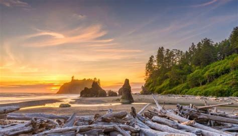 2024 Olympic National Park Itinerary A 3 Day Ultimate Experience