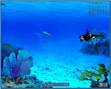 Marine Aquarium 30 Screensaver Download Screensaversbiz