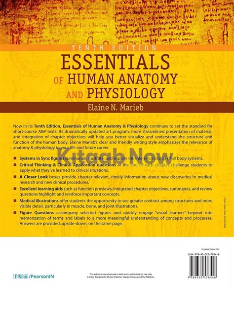 Essentials Of Human Anatomy And Physiology 10th Edition Kitaabnow