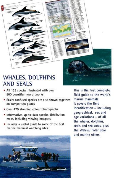 Whales Dolphins And Seals Marine Mammals Of The World Shirihai