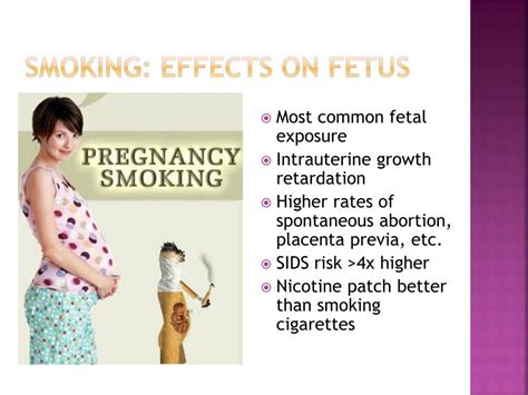 PPT - Maternal & Newborn Effects of Perinatal Substance Abuse 