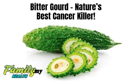 其他外文名﹕ bitter gourd, bitter melon (english). Bitter Gourd - Nature's Best Cancer Killer! | Malaysia ...