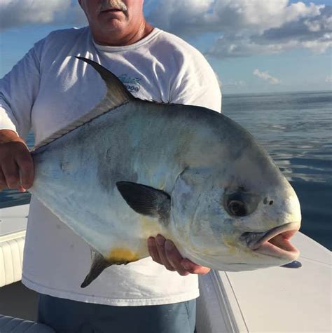 Pompano Permit Amberjack Crevelle Yellow Jack Key West Fishing