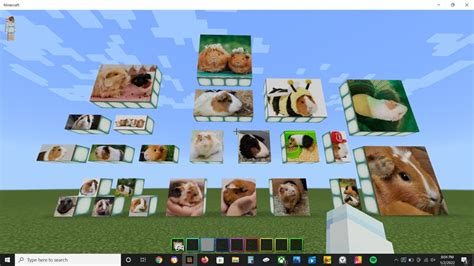 Guinea Pig Pics Java Minecraft Texture Pack
