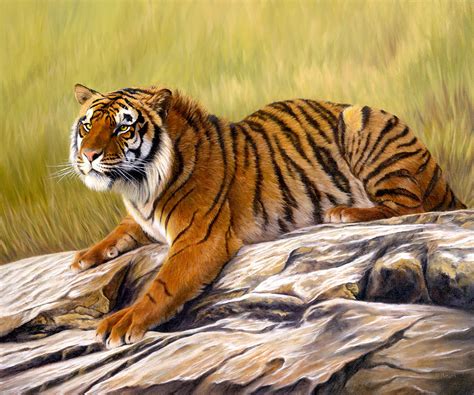 Tiger Art Jason Morgan Painting By Jason Morgan Pixels