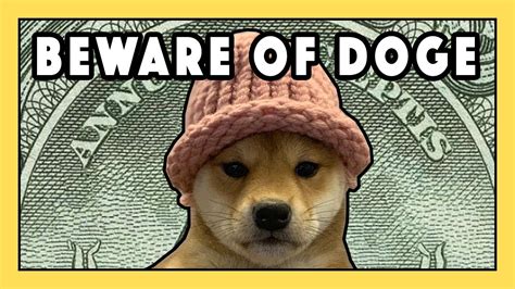 Doge Wif Hat Pfp Offers 798 Doge V5 Products Eradetontos