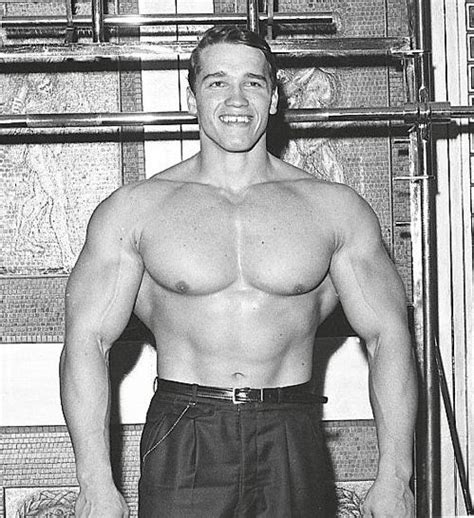 Arnold Arnold Schwarzenegger Pinterest Arnold Schwarzenegger