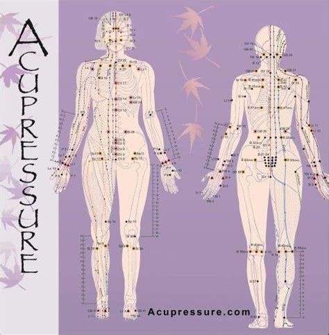 Accupressure Chart Acupressure Points Chart Acupressure Therapy Acupressure Massage