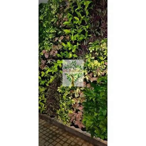 Green Plastic Natural Vertical Garden At Rs 700square Feet In