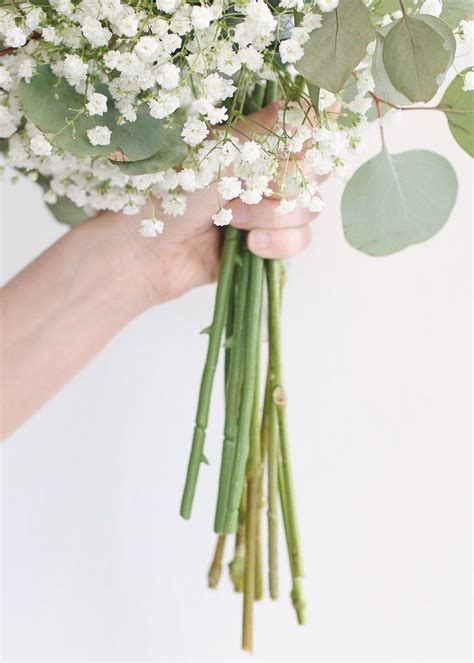 You can use cling wrap plastic or any container as alternative for this purpose. Fresh Flower Bouquet Holders | DIY Wedding Supplies ...