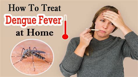 How To Treat Dengue Fever Naturally At Home Home Remedies For Dengue