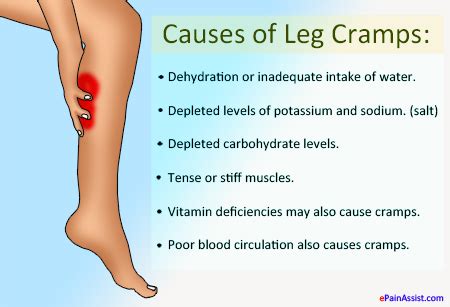 The Cause Of Cramps What Causes Menstrual Cramps