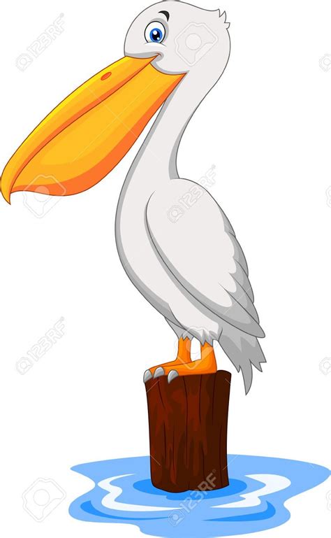 Free Vector Illustration Bird Illustration Free Vector Art Pelican