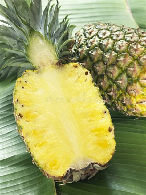 Pineapple Cut In Half Stock Photo Image Of Style Winter 23704302