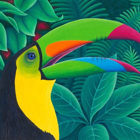 Tropical Toucan Art Fine Art New Mexico Toucan Art Animal Canvas