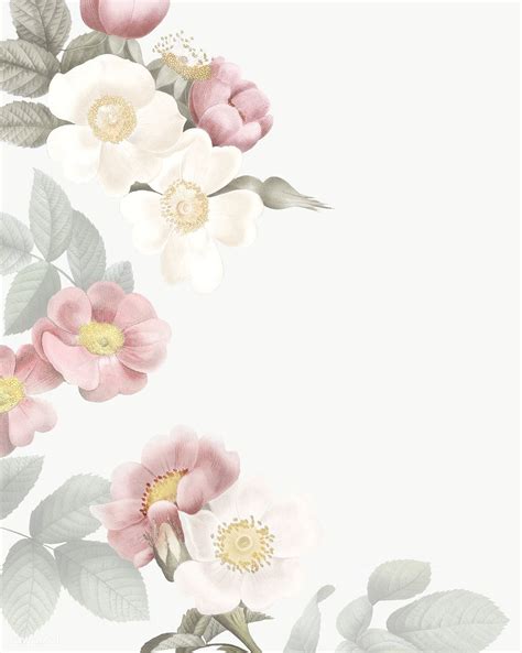 Download Premium Png Of Elegant Floral Frame Design Transparent Png By