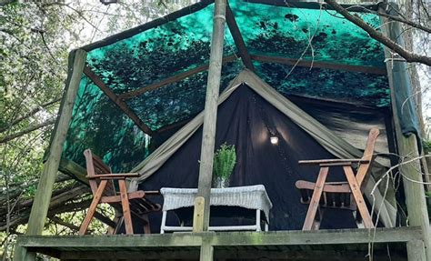 An Eco Friendly Glamping Experience In Knysna Daddys Deals